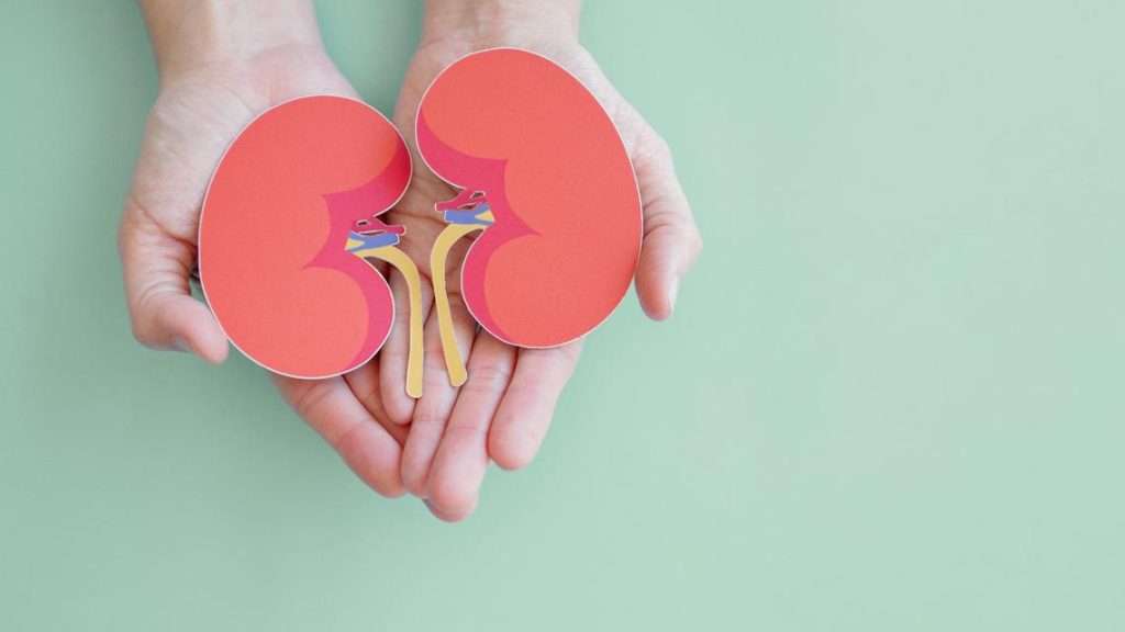 How to keep your kidney healthy